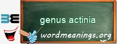 WordMeaning blackboard for genus actinia